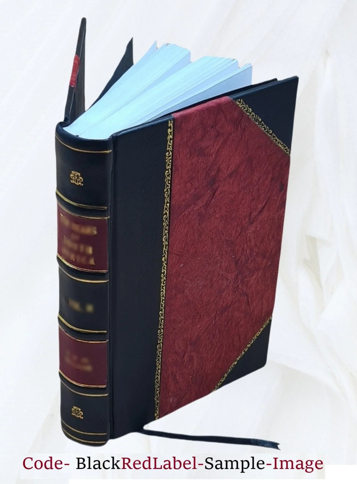 Les mémoires de Michel de Marolles, abbé de Villeloin : divisez en trois parties, contenant ce qu'il a vû de plus remarquable en sa vie, depuis l'année 1600 : ses entretiens au