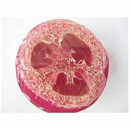Hawaiian Bubble Shack Loofah Glycerin Soap Lick Me Lilikoi 4 Bars