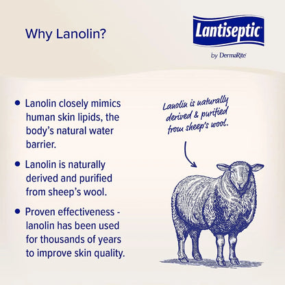 Lantiseptic Lanolin Scent Skin Protectant Cream 14 oz. Jar LS0710 1 Ct