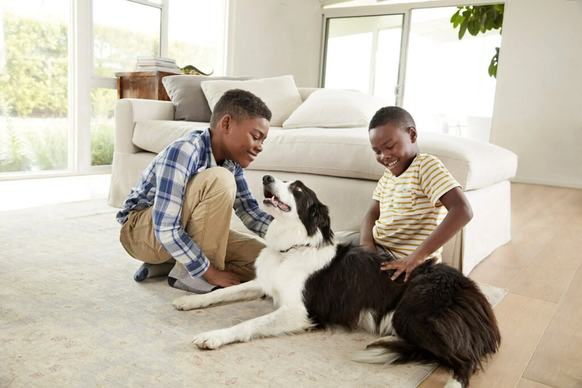 Filtrete 16x25x1 Smart Air Filter, MPR 2200 MERV 13, Premium Allergen & Home Pollutants, Captures Smoke, Bacteria and Viruses, 1 Filter