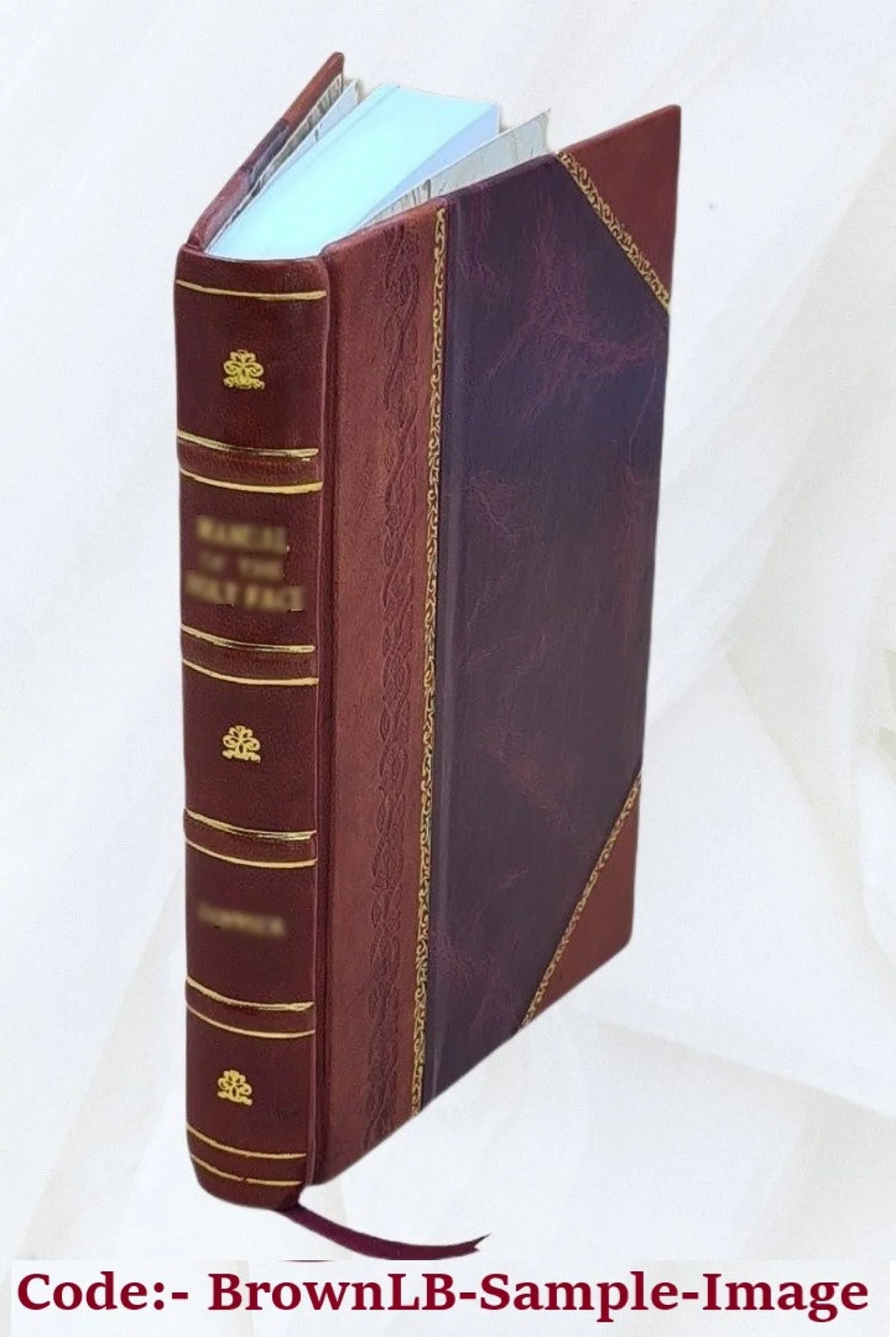 Men, women, and ghosts 1869 [Leather Bound]