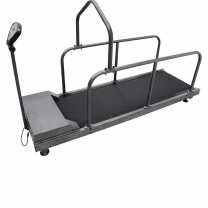 INTBUYING Dog Proform Treadmill Pet Exercise Equipment for Canine Running 110V