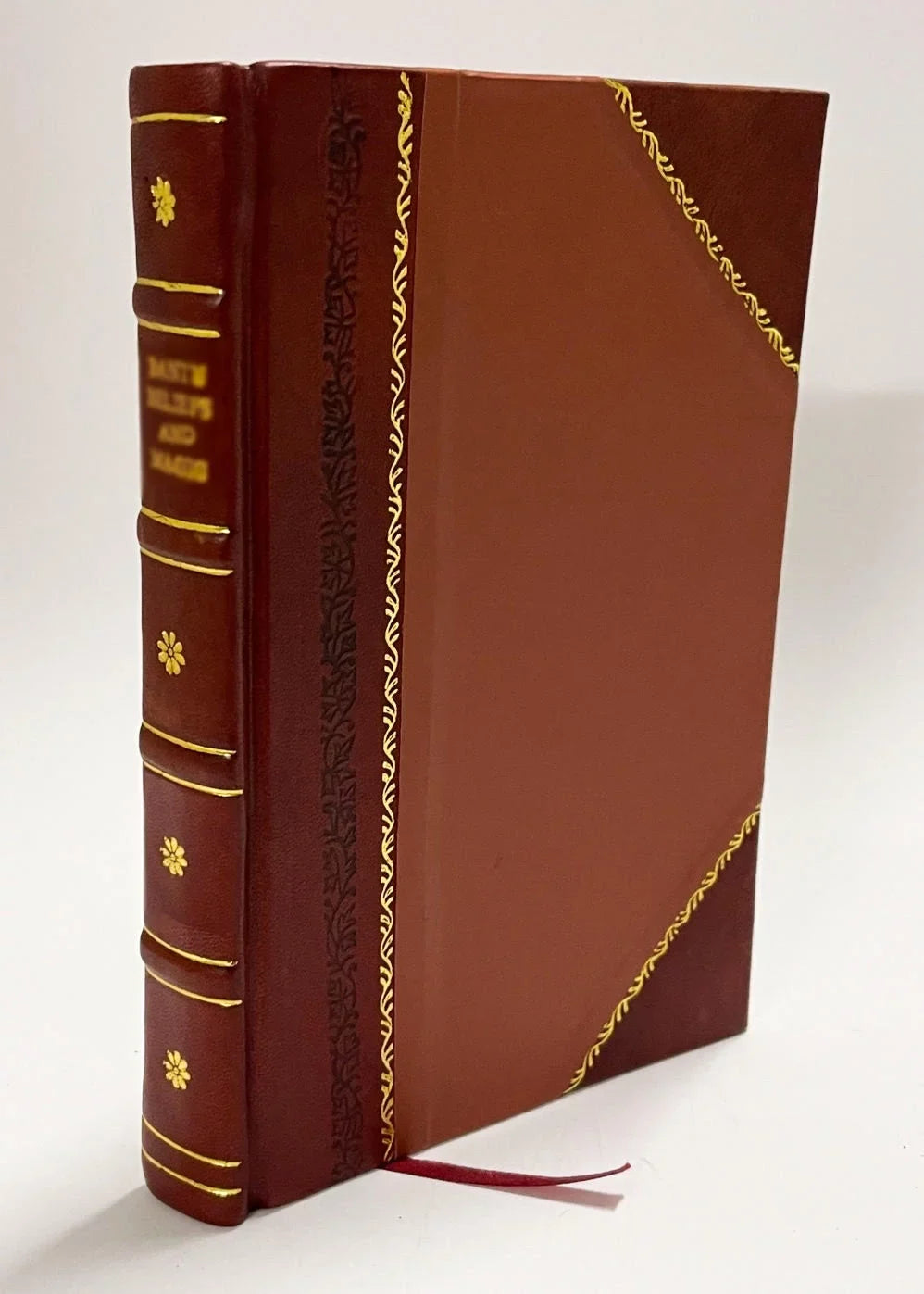 Peccati Exterminium Maxime Ad Quod Natura Vel Consuetudo Magis Inclinat Dominis Sodalibus Congregationis Maioris Academicae Dilinganae In Xenium Oblatum Anno M.Dcc.Xxi. / Gabor (1721) [Leather Bound]