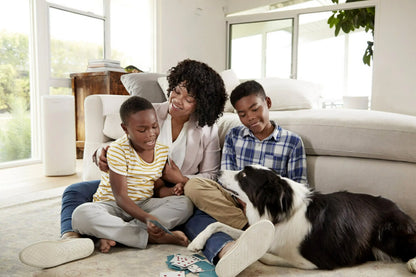 Filtrete 16x25x1 Smart Air Filter, MPR 2200 MERV 13, Premium Allergen & Home Pollutants, Captures Smoke, Bacteria and Viruses, 1 Filter